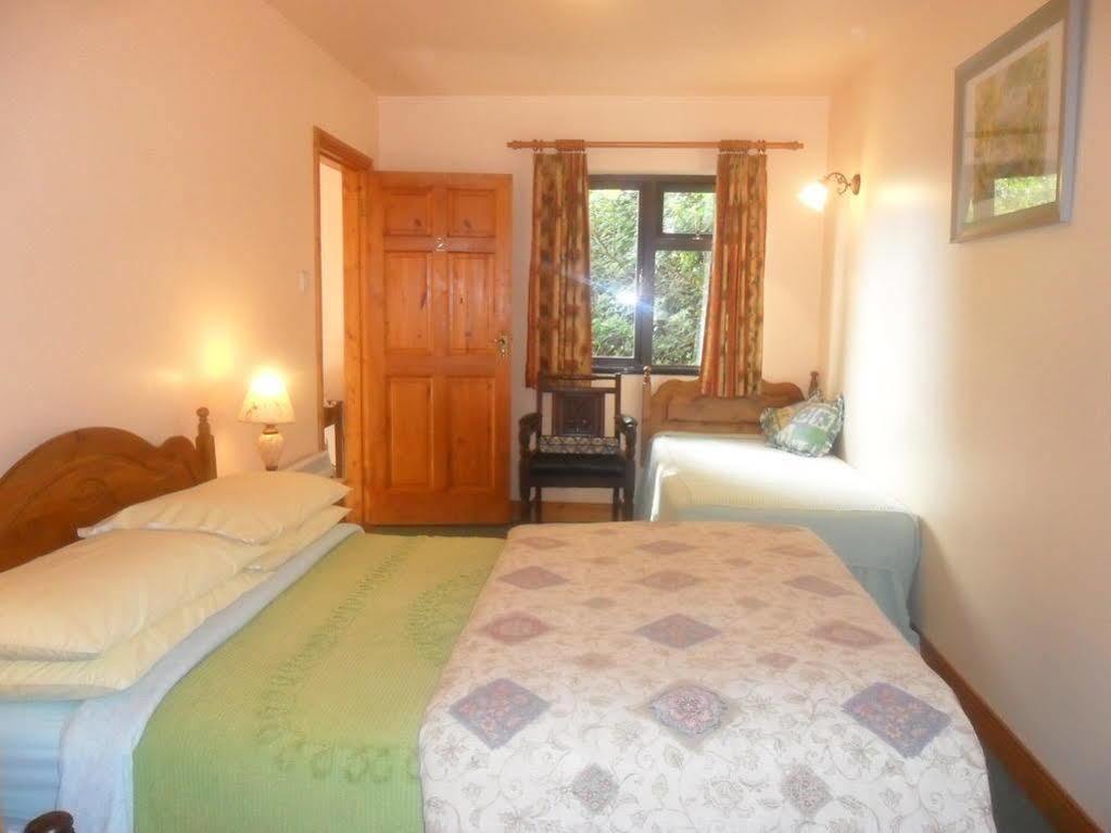 Glen House Room Only Accommodation Youghal Exteriör bild